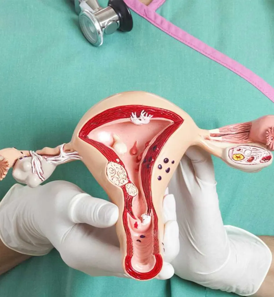 Cirurgia Íntima